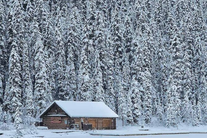 Lake Louise and Icefields Parkway Winter Tour - Key Points