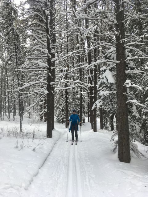Lake Louise: Cross Country Skiing Lesson with Tour - Exploring the Lake Louise Cross Country Skiing Lesson with Tour