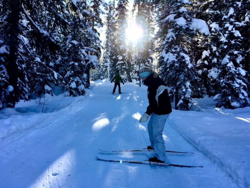 Lake Louise: Cross Country Skiing Lesson with Tour - The Details on Equipment and Pricing