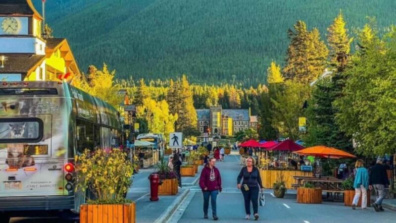 Lake Louise, Emerald Lake, Minnewanka Cruise & Banff Town - An In-Depth Look at the Tour Experience