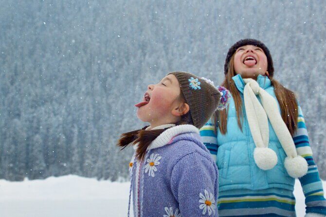 Lake Louise Johnston Canyon Peyto Lake Icefields Parkway Daytrip - An In-Depth Look at the Tour Experience