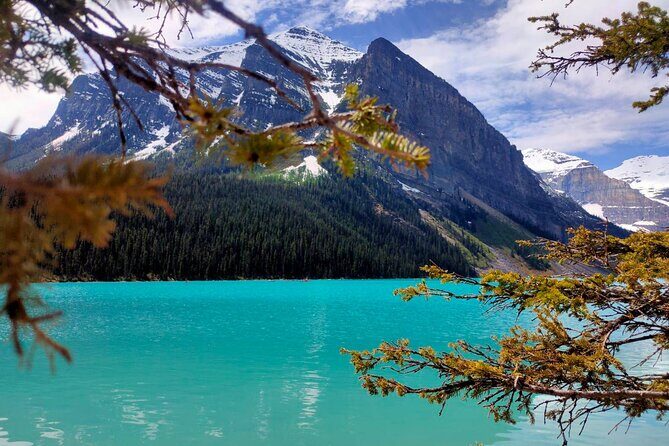 Lake Louise, Moraine Lake, Peyto Lake, Crowfoot Tour from Banff - FAQ