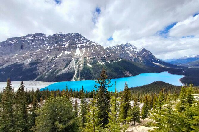 Lake Louise, Moraine Lake, Peyto Lake, Crowfoot Tour from Calgary - The Itinerary in Detail