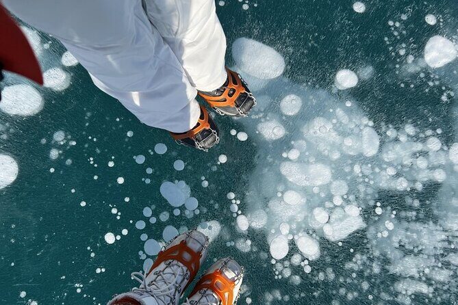 Lake Louise & Snow Fun Day Tour - Is the Price Worth It?