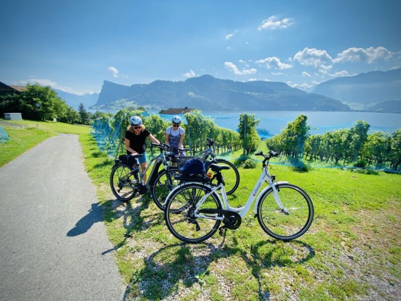 Lake Lucerne Peninsula e-bike Tour - Is This Tour Worth the Price?