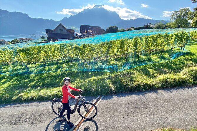 Lake Lucerne Peninsula e-Bike Tour - Exploring the Lake Lucerne Peninsula on an E-Bike: A Friendly Review