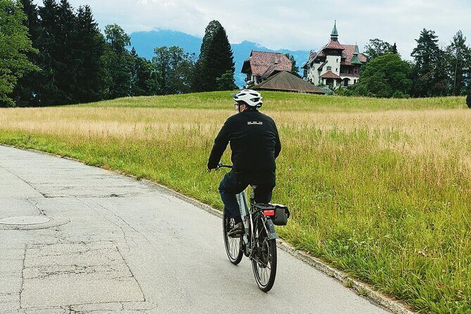 Lake Lucerne Peninsula e-Bike Tour - The Practical Details