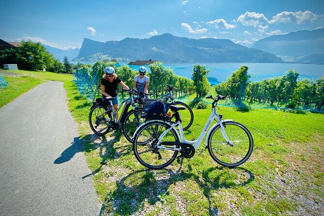 Lake Lucerne Peninsula e-Bike Tour - What Travelers Say: Authentic Voice