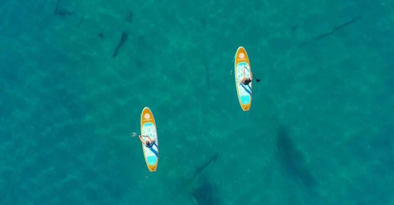 Lake Mead: Paddle Board Rental - The Value of the Price