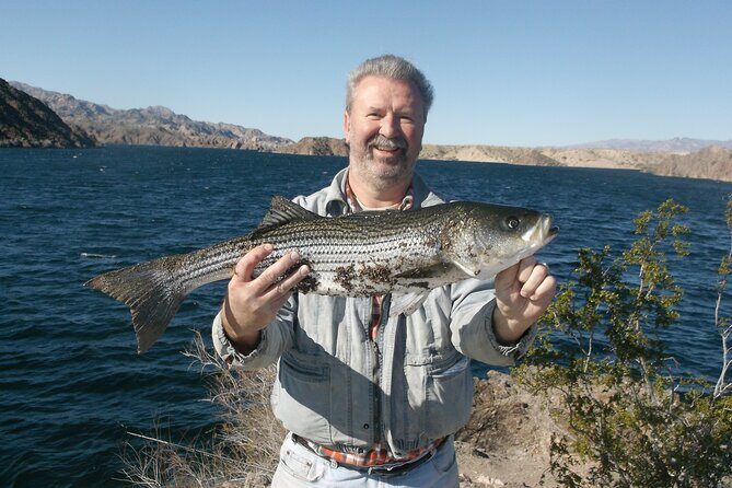 Lake Mead Striped Bass Fishing Getaway - What to Expect from This Lake Mead Fishing Experience