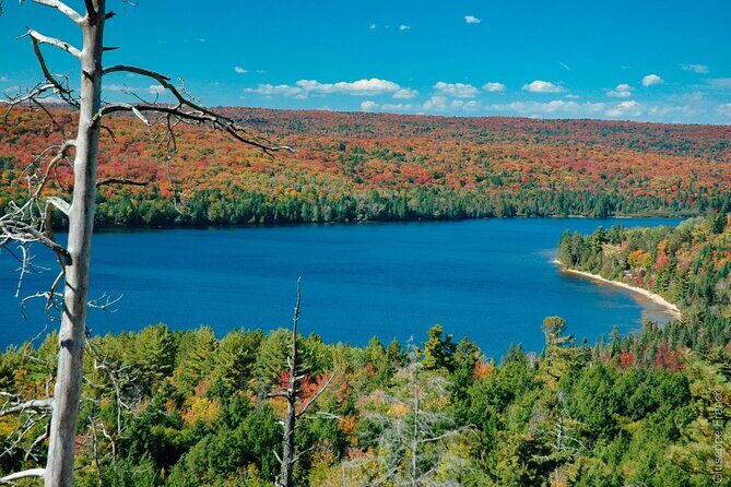 Lake Muskoka and Algonquin Small Group 1-Day Tour From Toronto - Key Points