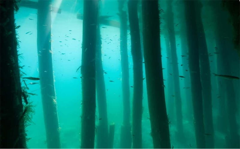 Lake Ohrid: Try Diving at the Bay of the Bones - The Sum Up