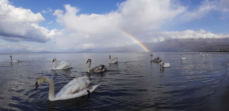 Lake Ohrid: UNESCO Heritage Tour & Hidden Gems - In The Sum Up