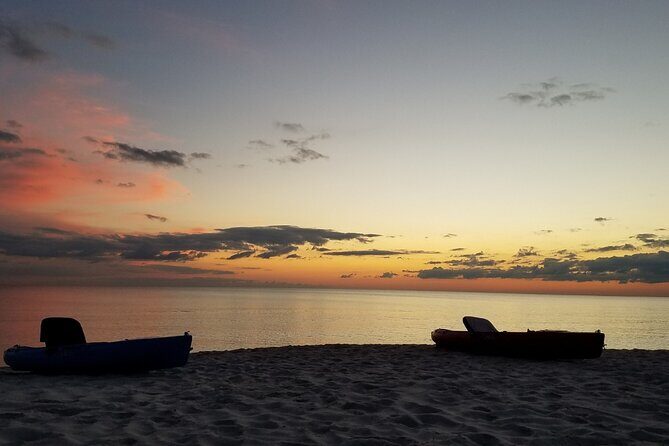 Lake Osborne Gator Watch Tour - Who Should Consider This Tour?