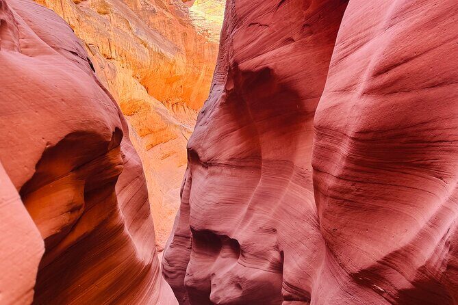 Lake Powell Premium Kayak Rental - Real Traveler Insights and Practicalities