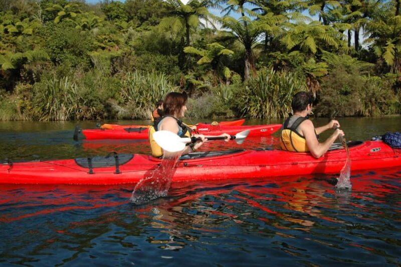 Lake Rotoiti & Hot Pools Guided Kayak - An Honest Look at the Lake Rotoiti & Hot Pools Guided Kayak Tour