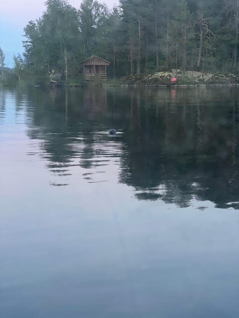 Lake Saimaa story cruise by Ecoboat in Puumala - The Bottom Line