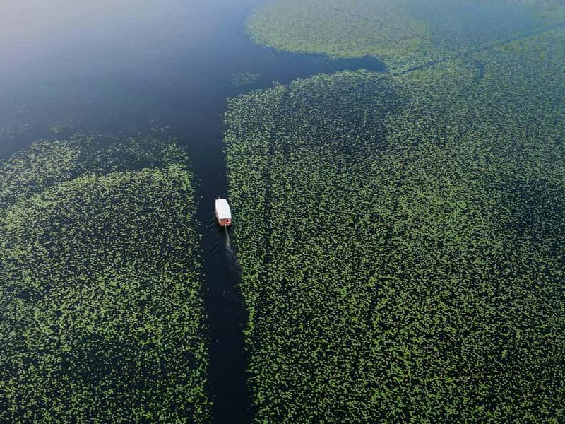 Skadar Lake National Park: Guided Boat Tour to Kom Monastery - Kom Monastery on Odrin Hill: Frescoes Worth the Boat Ride
