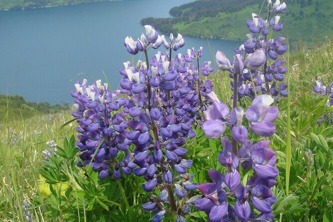 Lake Superior North Shore Self-Guided Audio Driving Tour - Pricing and Value Analysis