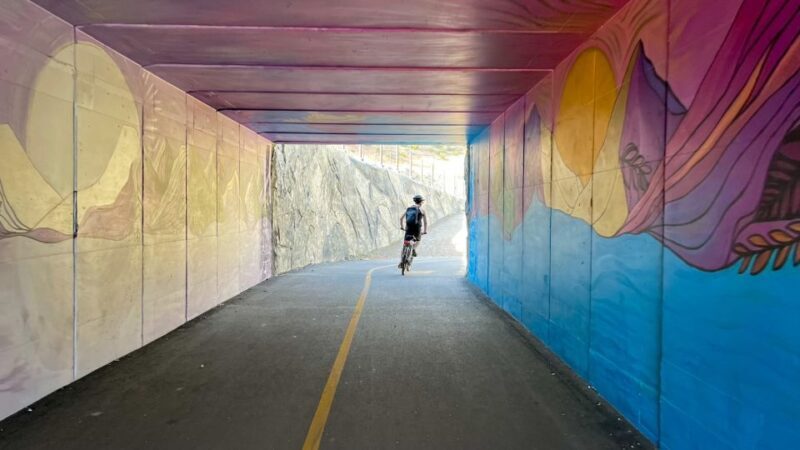 Lake Tahoe: Electric Bike Rental - What to Expect on Your Lake Tahoe Electric Bike Adventure