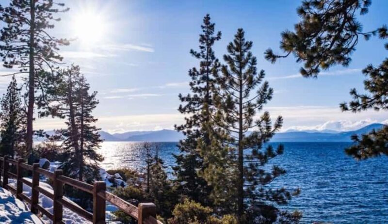 Lake Tahoe: Guided Scenic Bike Experience - The Ride: What You Need to Know