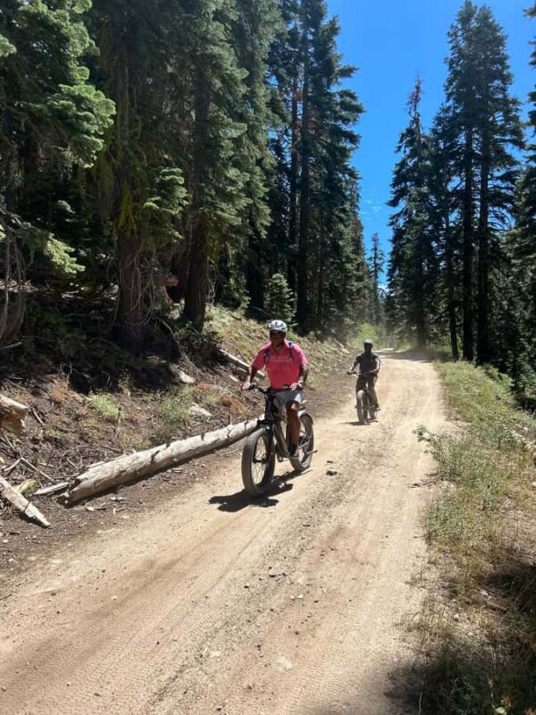 Lake Tahoe: Guided Scenic Bike Experience - Downsides and Considerations