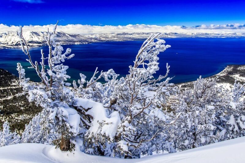 Lake Tahoe: Half-Day Photographic Scenic Tour - What This Tour Offers: An Overview