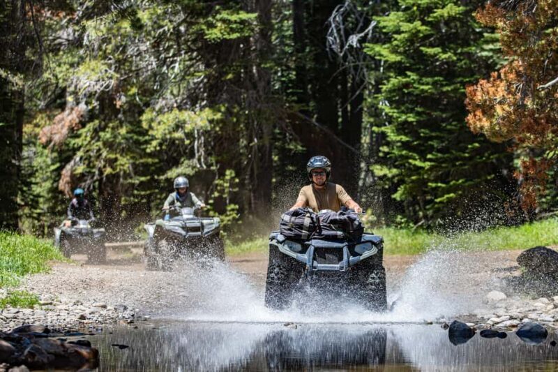 Lake Tahoe: Rubicon Trail Guided Off Road ATV Tour - An honest look at the experience