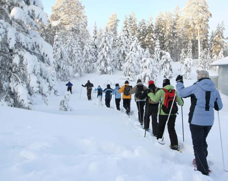 Lake Tahoe: Snowshoeing Guided Tour - Exploring the Lake Tahoe Snowshoeing Guided Tour