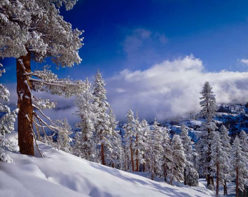 Lake Tahoe: Snowshoeing Guided Tour - Whats Included and Whats Not