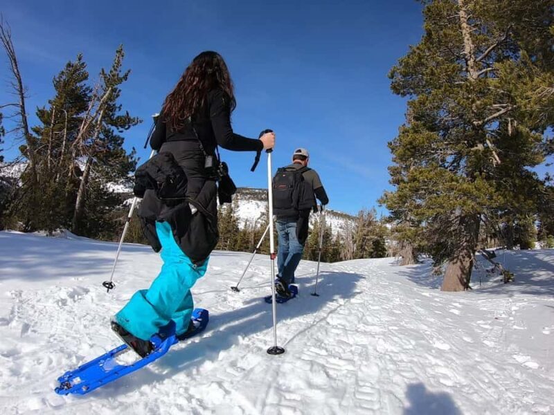 Lake Tahoe: Snowshoeing Guided Tour - Is It Worth the Price?