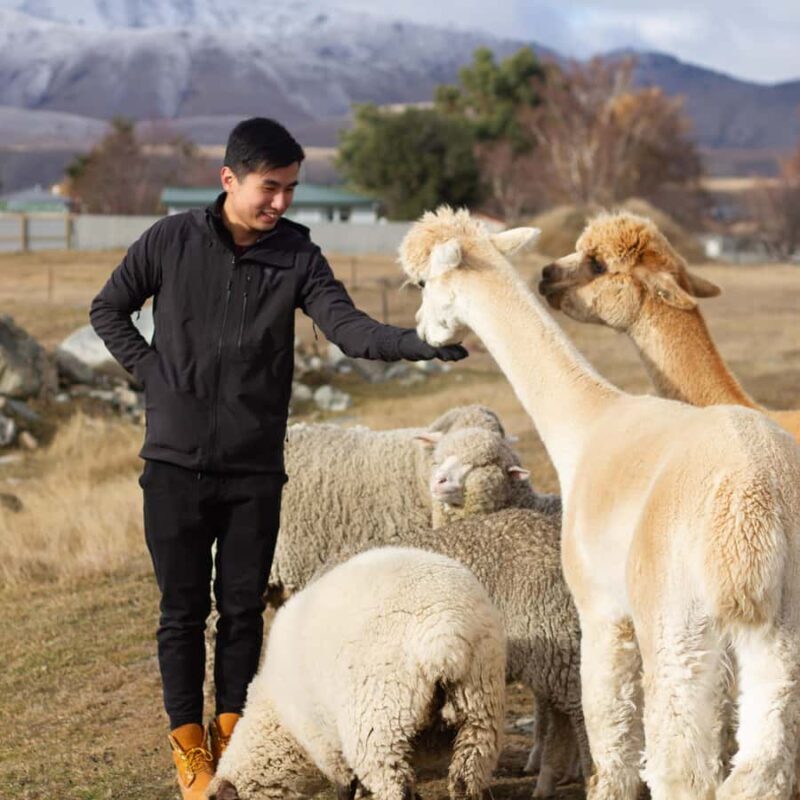 Lake Tekapo: Guided Petting Zoo Visit - Who Will Love This Tour?