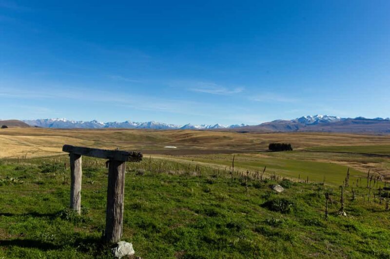 Lake Tekapo High Country Farm Tour (Carbon Positive) - What’s the Value?