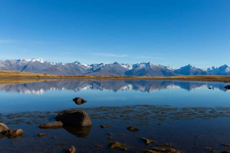 Lake Tekapo High Country Farm Tour (Carbon Positive) - Practical Details and Considerations