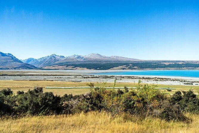 Lake Tekapo & Mt. Cook the Ultimate Day tour from Christchurch - An In-Depth Look at the Tour Experience