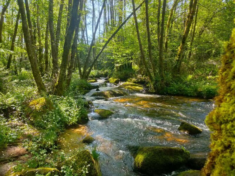 Lake Vassivière: The Grand Tour of the Lake in a Day - FAQ