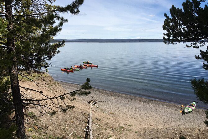 Lake Yellowstone Half Day Kayak Tours Past Geothermal Features - The Value: Price and What You Get