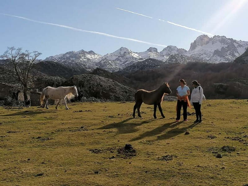 Lakes of Covadonga and Sanctuary of Covadonga: Guided and interpreted tour - A Deep Dive into the Covadonga Experience