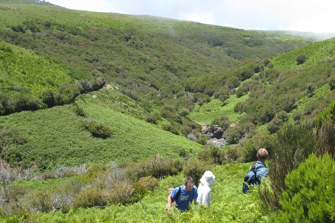 Lakes of Madeira- Alecrim Full day walk - An In-Depth Look at the Alecrim Full Day Walk