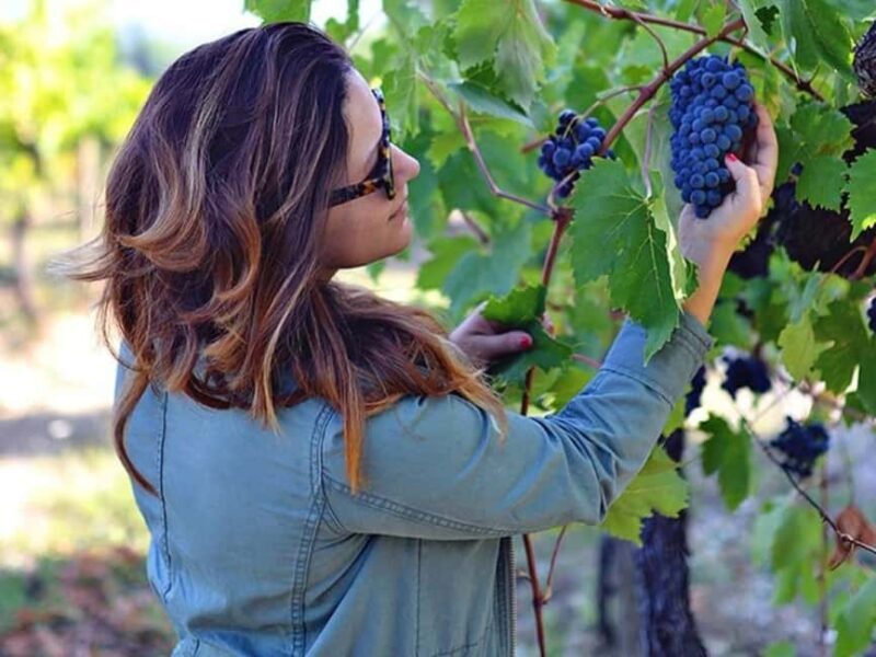 Lalez Wine Tasting, Wine Tour, Kayak & Full Lunch Experience - Scenic Lake Activities