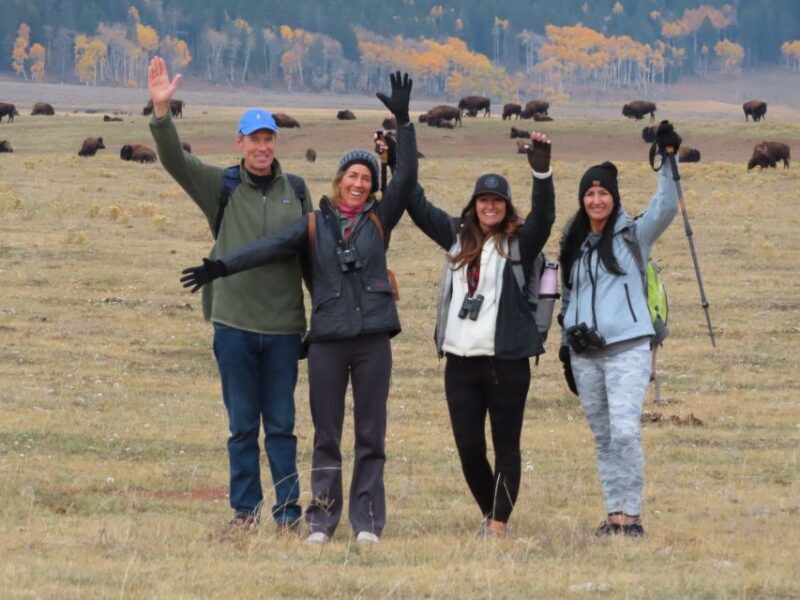 Lamar Valley: Safari Hiking Tour with Lunch - FAQ