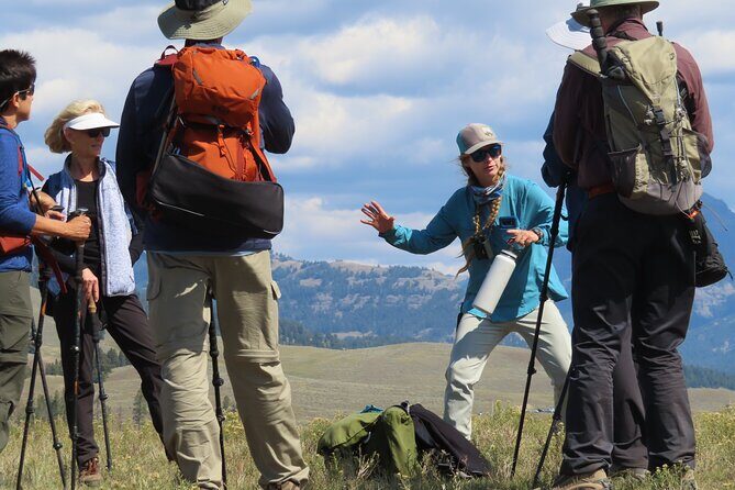 Lamar Valley Safari Hiking Tour with Lunch - Why This Tour Is Special