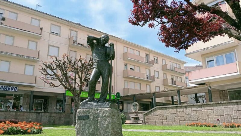 LAMEGO: Douro Valley and History of the City 6H - Final Thoughts: Who Will Love This Tour?