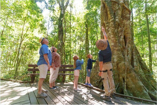 Lamington National Park, O'Reilly's & Vineyard Tour - Final Thoughts: Is This Tour for You?