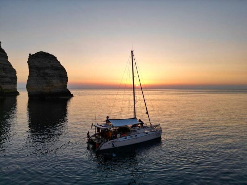 Lampedusa: Dolphin watching with aperitif at sunset - Wrapping Up