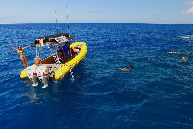 Lanai Deluxe Dolphin Adventure & 3 Snorkel Sites - Why This Tour Might Be a Great Choice for You