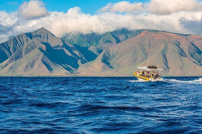 Lanai Deluxe Dolphin Adventure & 3 Snorkel Sites - Is It Worth the Price?