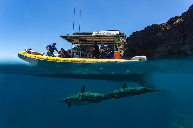Lanai Deluxe Dolphin Adventure & 3 Snorkel Sites - FAQs