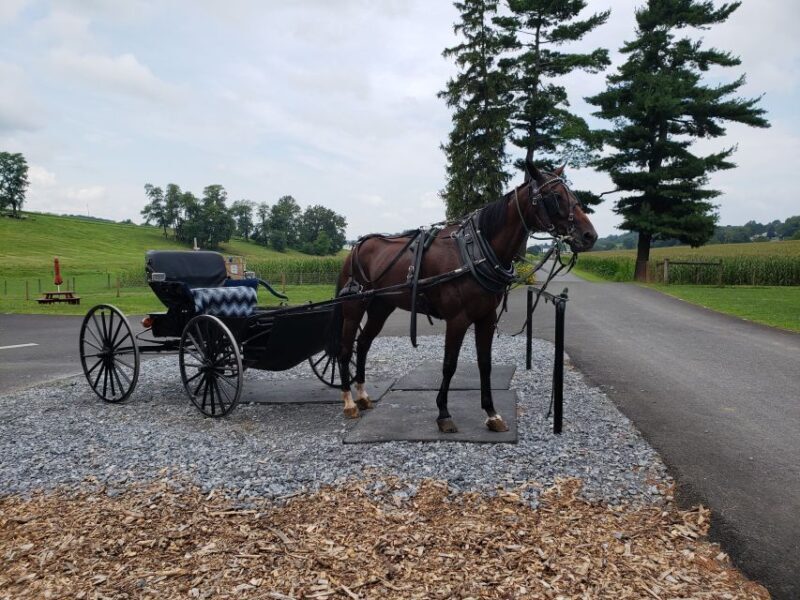 Lancaster: Downtown & Amish Country Authentic Lancaster Tour - What Travelers Say