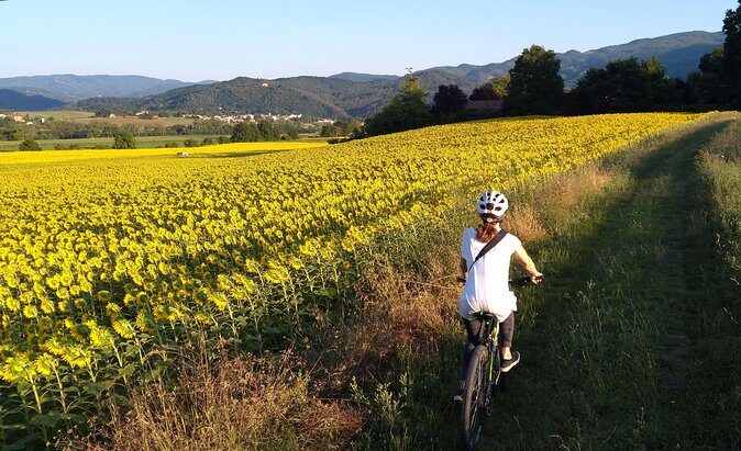 Land of painters - the origins of the Tuscan landscape - Key Points